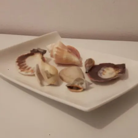 Lägenhet Laguna 19